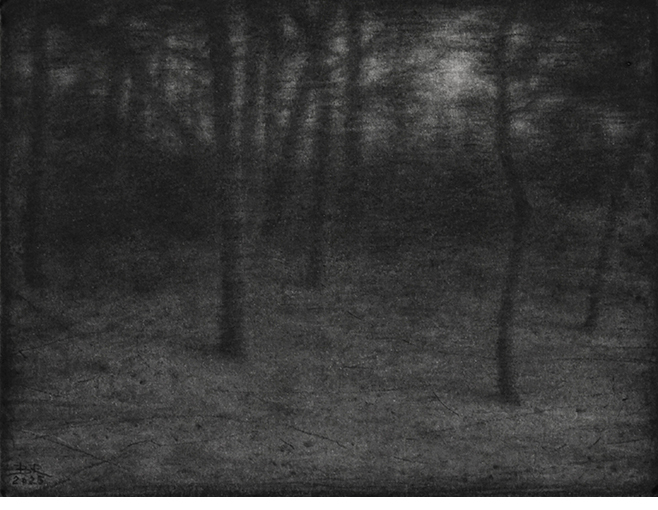 "Bosque negro". l�piz y cont�. 13 x 17 cm.