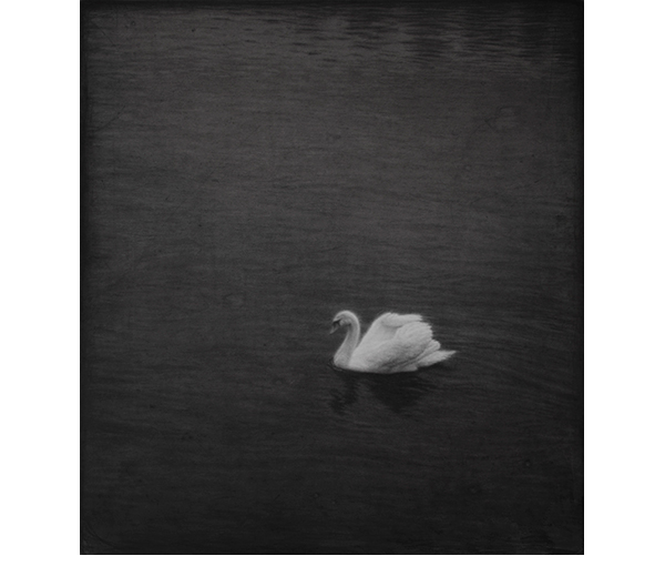"Una claridad s�bita". l�piz y cont�.60 x 60 cm 