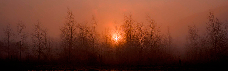 Amanecer en San Ant�n. Fotograf�a. 96.6 x 30cm.