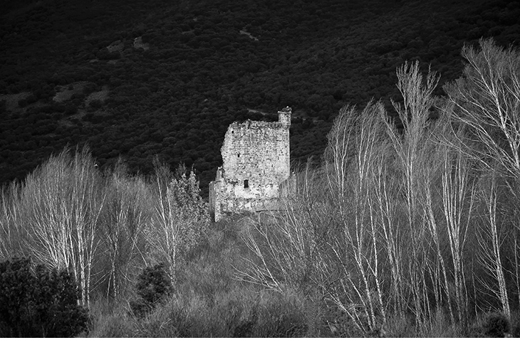 Castillo de Hinojosa. Fotograf�a. 92.3 x 60 cm.
