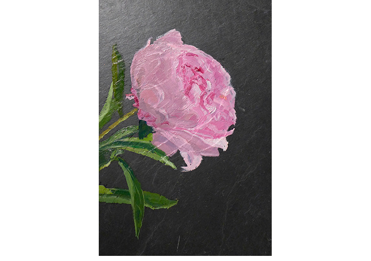 Peonia II. �leo sobre pizarra. 27 x 18 cm.